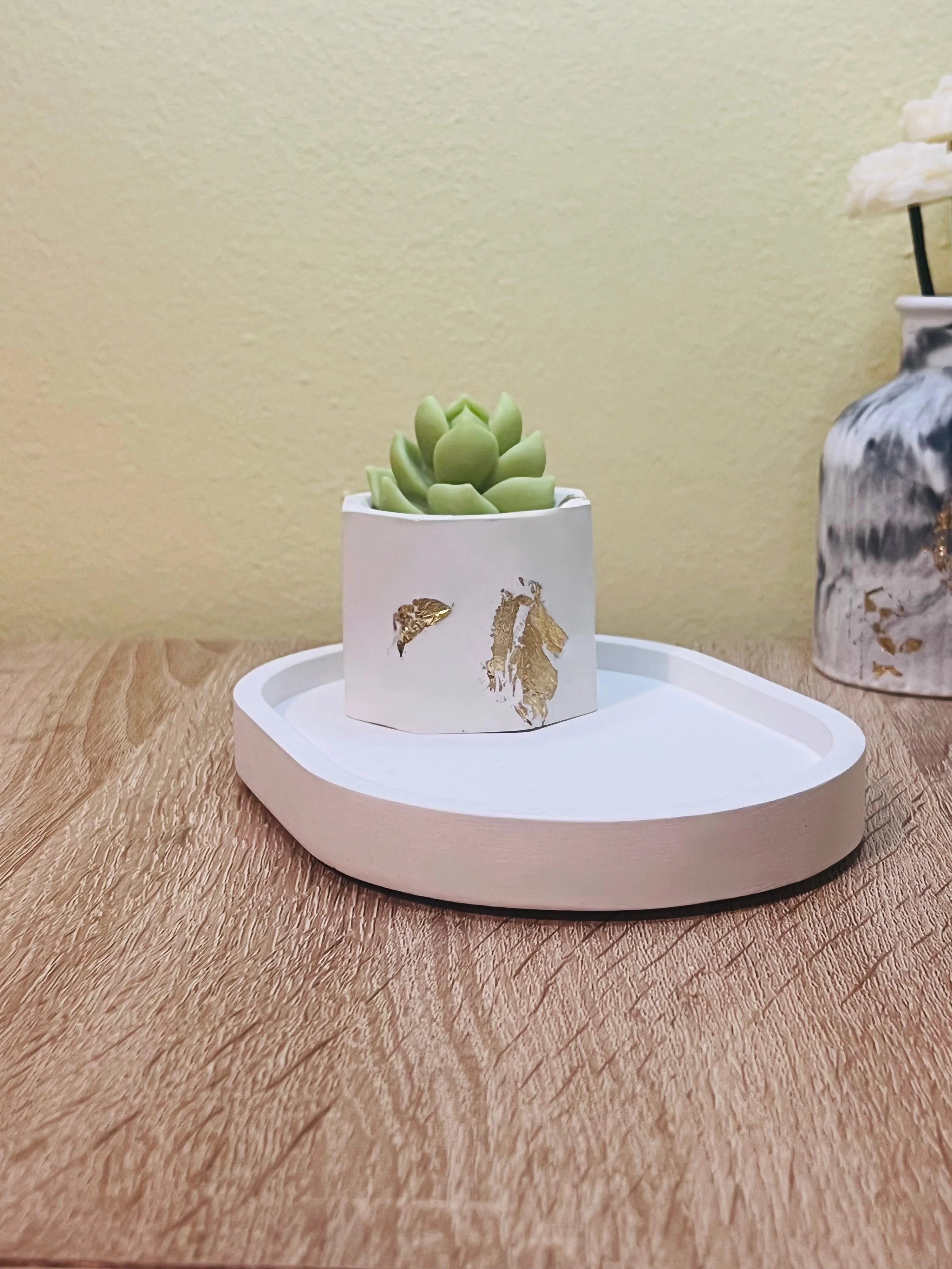 Cactus Glow