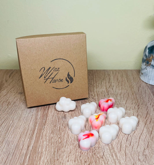 Sunset Cloud wax melts (σύννεφα)