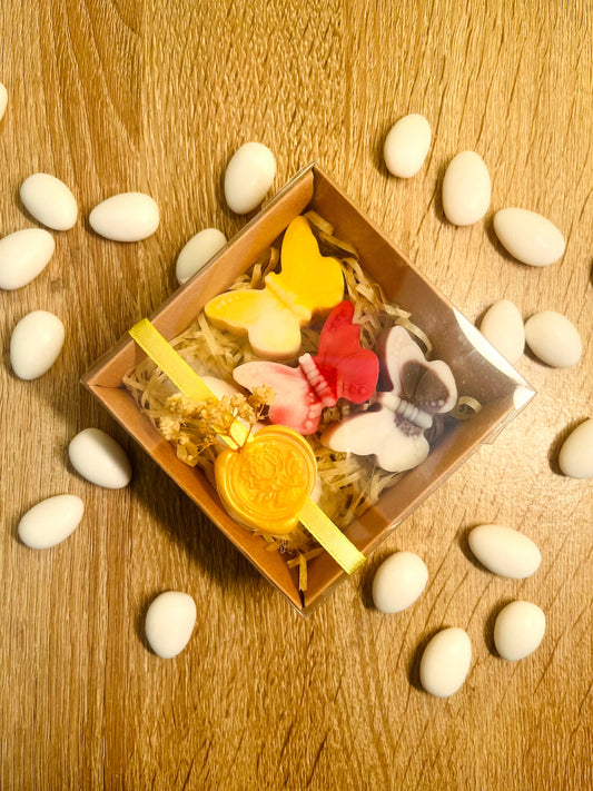 Μπομπονιέρα Πεταλούδα